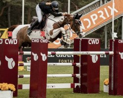 jumper Valse de Blagny (Selle Français, 2009, from Ogano Sitte)