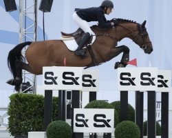 jumper Candour Esqui (Estonian Sport, 2013, from Cadeau de Muze)