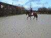 dressage horse Nelly Furtado (German Riding Pony, 2008, from Topnatrejo)