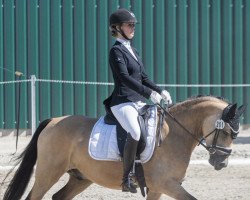 dressage horse Diamond Glow (German Riding Pony, 2017, from Diamond Touch NRW)