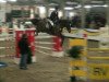 jumper Cyraneiky (Oldenburg show jumper, 2003, from Cheenook)