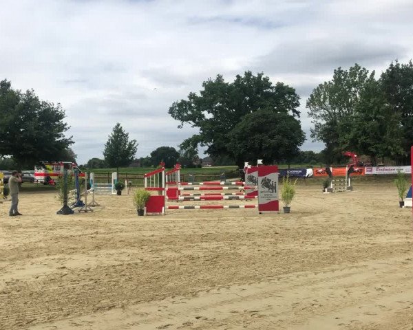 Video of Cookie Bo