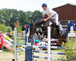 Springpferd Cookie Bo (KWPN (Niederländisches Warmblut), 2018, von Comthago VDL)