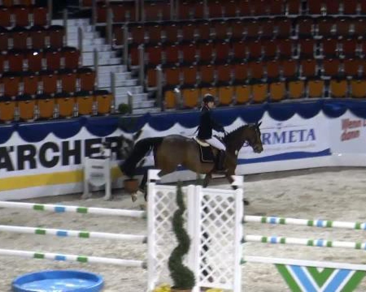 broodmare Lesley MA (Holsteiner, 2002, from Lican)