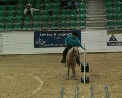 horse Skip's Big Hidalgo (Quarter Horse, 2006, from Mr Dear Skip)