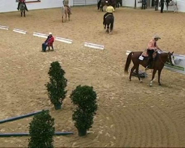 horse JR Zip's Rocky Rodder (Quarter Horse, 2001, from Justa Tad Rad)