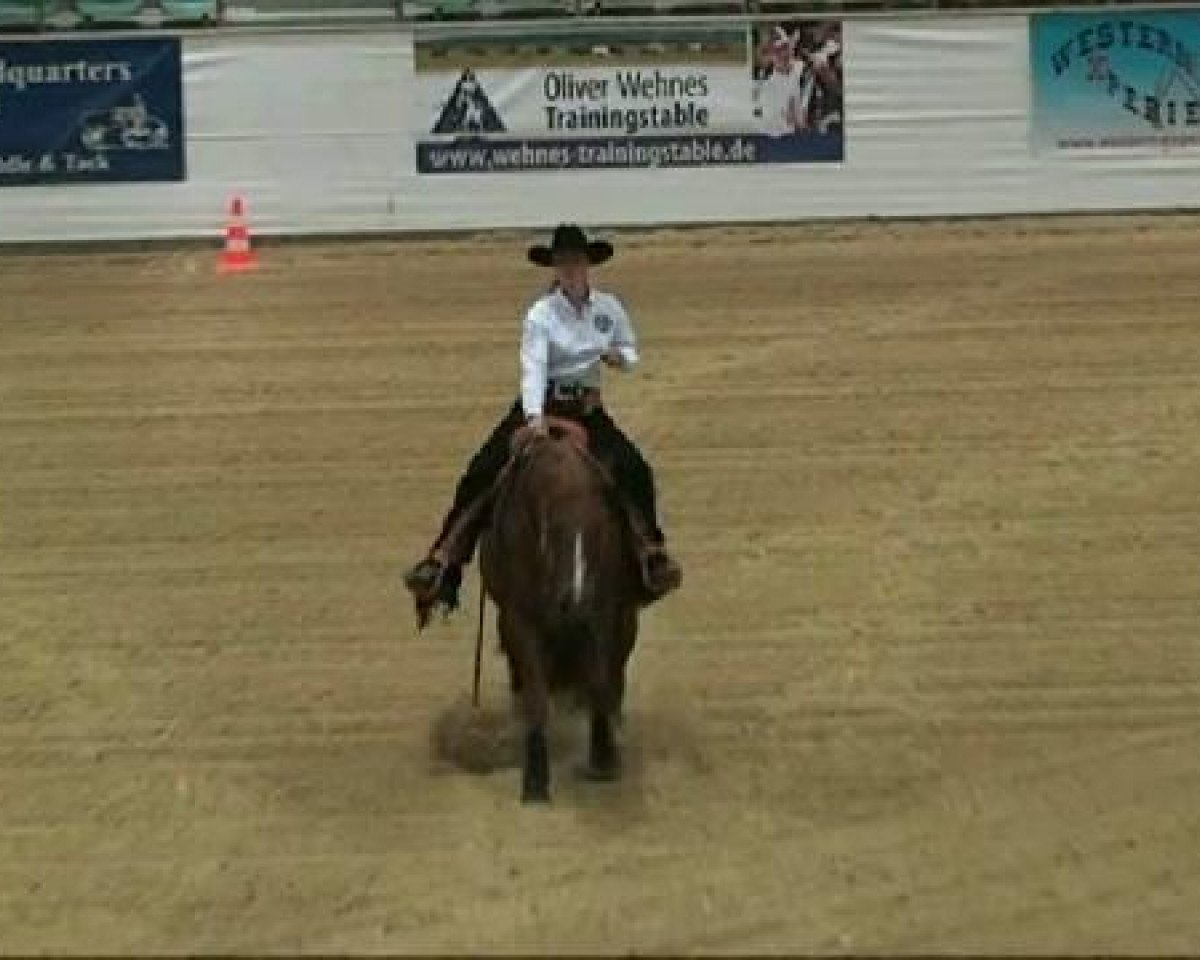 Pferd Seven S Peppydoc (Quarter Horse, 2004, von Skeets Peppy)