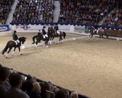 dressage horse Mad Max 48 (Westphalian, 1999, from Mon Chèri)