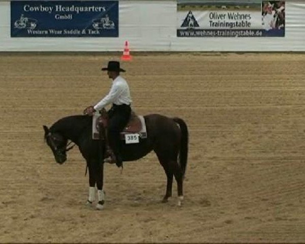 Pferd CS Elites Shy Girl (Quarter Horse, 2005, von Elite Eldorado)