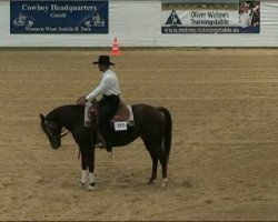 horse CS Elites Shy Girl (Quarter Horse, 2005, from Elite Eldorado)