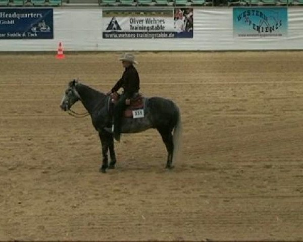 horse Gump's Twister BB (Quarter Horse, 2006, from Little Gump)