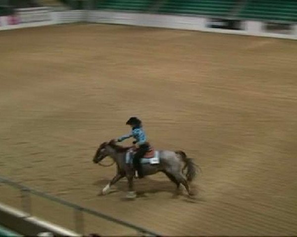 Pferd Roan Eldorado Snaper (Quarter Horse, 2005, von Wheeling Eldorado)