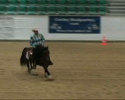 Pferd Steady Nic Olena (Quarter Horse, 2005, von Nic Of Tradition)