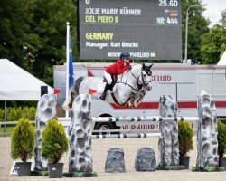 stallion Del Piero II (German Riding Pony, 2014, from Dexter Leam Pondi)