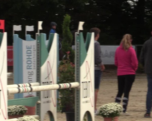 Reitturnier Meinerzhagen 2022