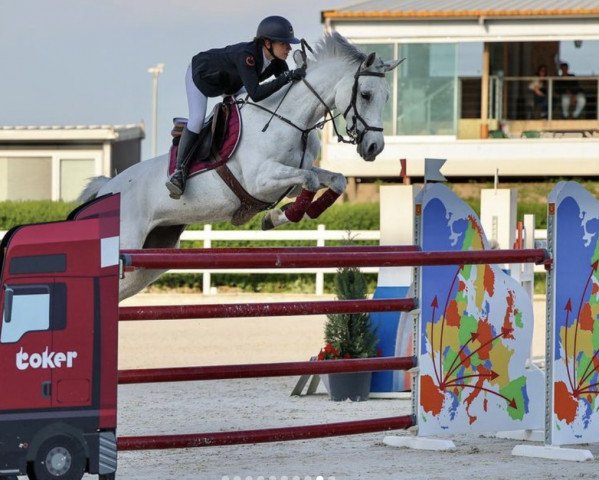 jumper Lorina-Astoria (Bulgarian Warmblood, 2009, from Limnos)