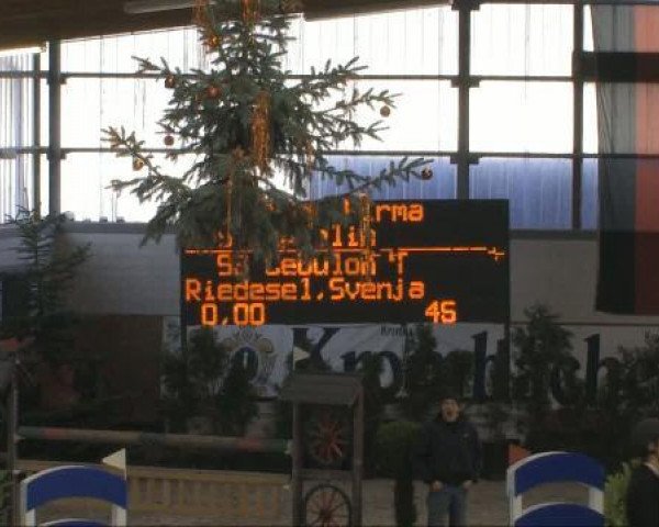 Springpferd Cebulon T (Rheinländer, 2004, von Controller)