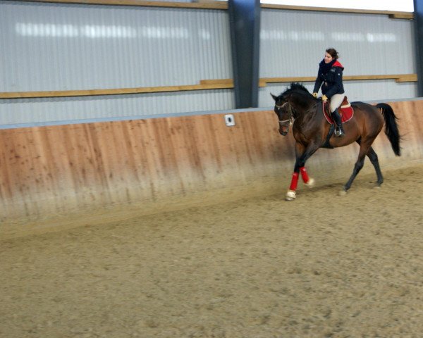 jumper Motyl (Little-Poland (malopolska), 2006, from Berlin Bej)