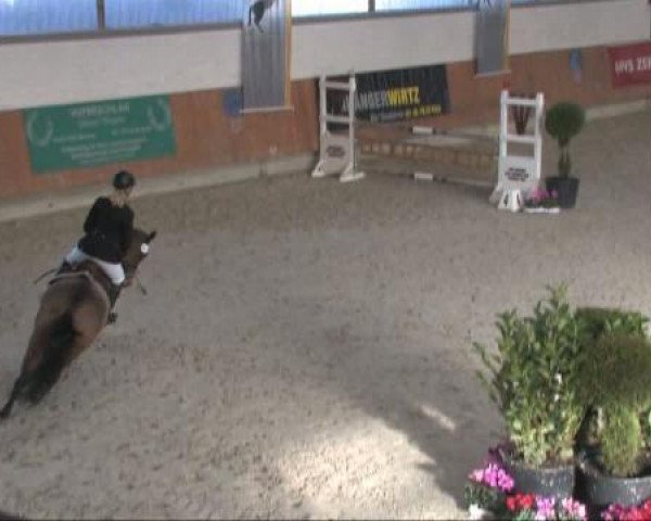 jumper Claire 108 (German Riding Pony, 2006, from Consens)