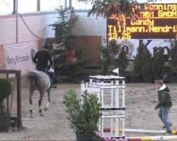 Pferd Candy 703 (Deutsches Reitpony, 2000, von Calypso O)