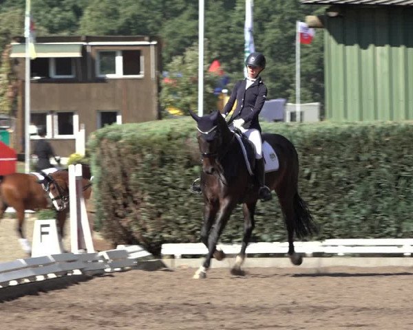 Reitturnier Hamburg-Bergstedt 2022