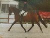 dressage horse Rob Roy 45 (Westphalian, 2005, from Rosenkoenig)