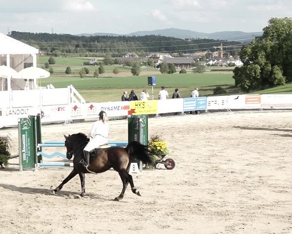 Reitturnier Humlikon 2022