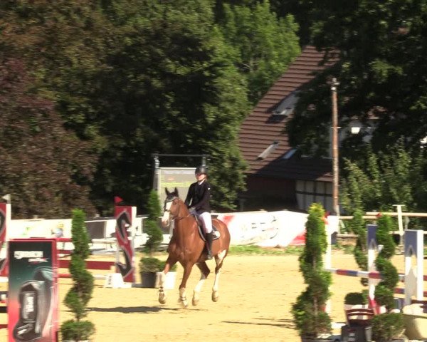 Reitturnier Vlotho-Valdorf 2022