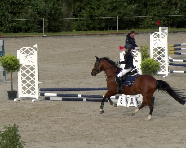 Reitturnier Maienfeld 2022