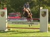 jumper Wait and see (Swiss Warmblood, 2003, from Landjonker (Fruhling))