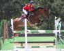 jumper Eluna (Trakehner, 2006, from Langet)