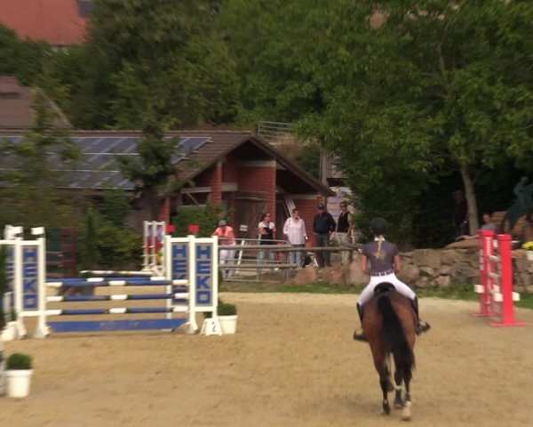 Reitturnier Vlotho-Valdorf 2022