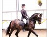 dressage horse Wilco 48 (Rhinelander, 2004, from Weltrubin)