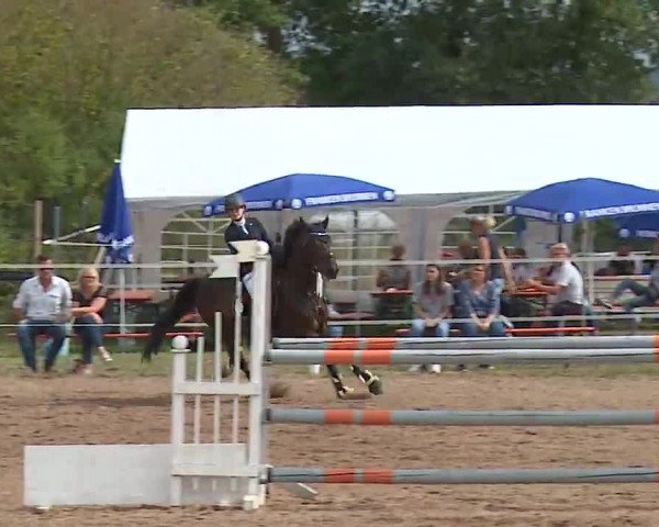 Reitturnier Demantsfürth 2022