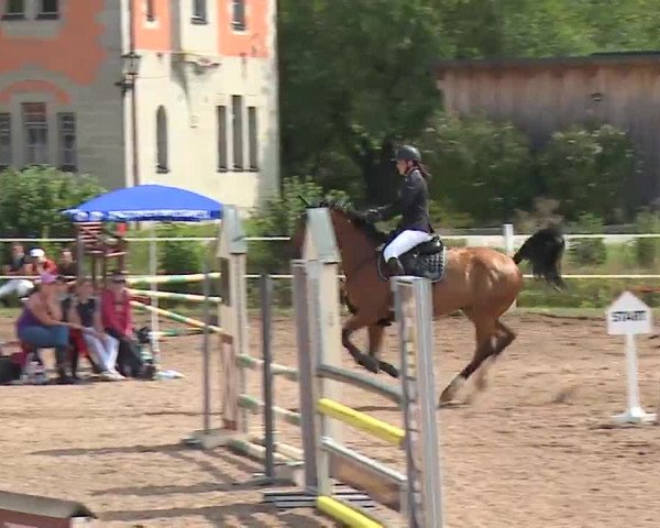 Reitturnier Demantsfürth 2022