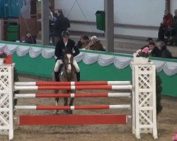 jumper Catbalou (Oldenburg show jumper, 2003, from Calvaro Z)