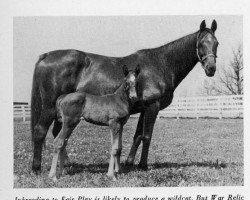 broodmare Dark Display xx (Thoroughbred, 1941, from Display xx)