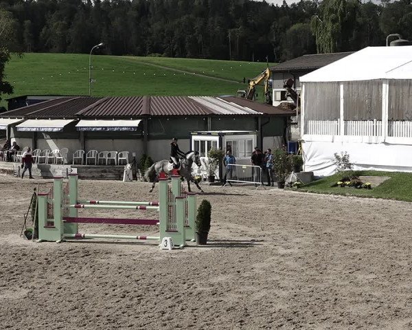 Reitturnier Humlikon 2022
