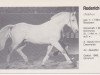 Pferd Roderich (Holsteiner, 1964, von Ramzes AA)