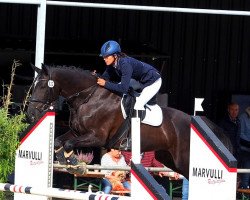 dressage horse Little Lia Ig (Westphalian, 2017, from DSP Lord Latino)