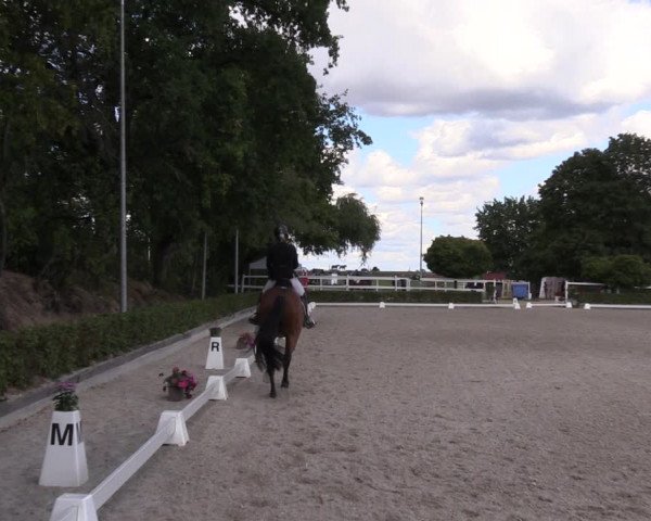 Reitturnier Müncheberg 2022