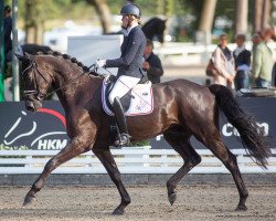 dressage horse Modeste B (Westphalian, 2017, from Morricone)