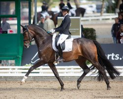 dressage horse Final Dream FRH (Hanoverian, 2017, from Franziskus FRH)