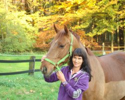 dressage horse Defakto (Hanoverian, 2005, from Don Vino)