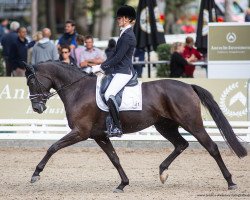 broodmare De Lorea (Oldenburg, 2017, from DeLorean)