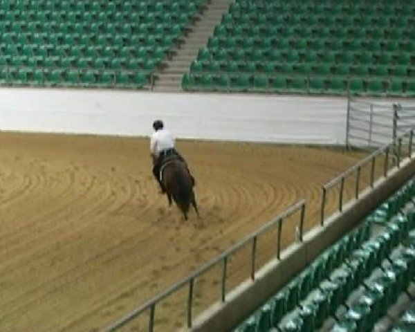 horse One Smokin Olena (Quarter Horse, 2007, from Olena San Badger)