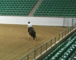 Pferd One Smokin Olena (Quarter Horse, 2007, von Olena San Badger)