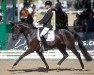 dressage horse Feeling Romantic (Westphalian, 2017, from For Romance I)