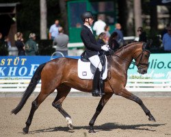 dressage horse Feine Lady Ff (Oldenburg, 2017, from Rock for Me)