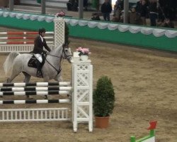 Springpferd Chicago 126 (KWPN (Niederländisches Warmblut), 2006, von Cartano)